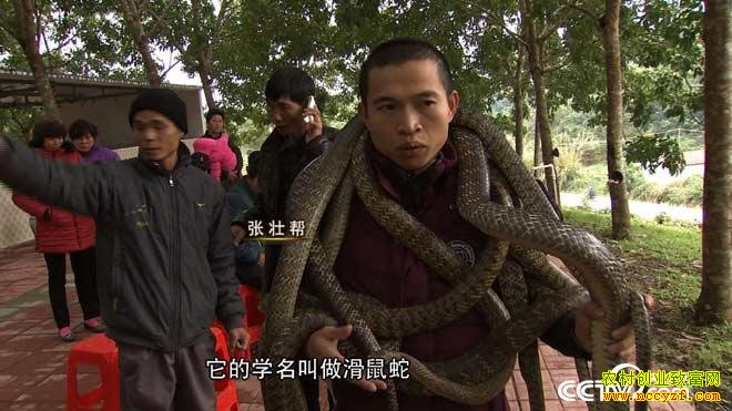 [�¸���]�������ݵ�СС����׳�����߼�