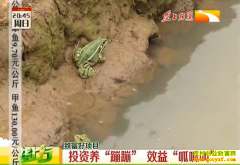 ũ���¸�����Ŀ������ƽ��ˮ������Ч�桰���ɽС�