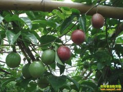 ���������¸��� ����180����Ǯ׬