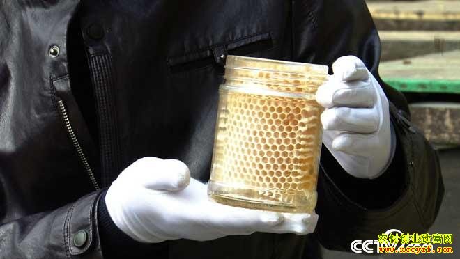 [�¸���]�����ߺ��޺��죺ϡ���ķ��� ˵׬��׬