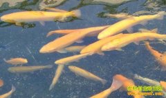 [ÿ��ũ��]Ͽ�Ȱ׽�����㡰ָ�����ﰲ��