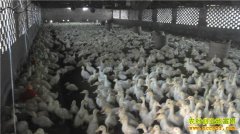 ����³ɽ��ũ������ǿ����ֳȦ��ġ�Ѽ˾�