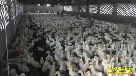 ����³ɽ��ũ������ǿ����ֳȦ��ġ�Ѽ˾�