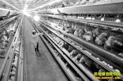 �����������������ġ�����ѧ��