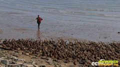 [�¸���]��������ϱ���κ��ٸ�Ѽ�º�����Ƹ�