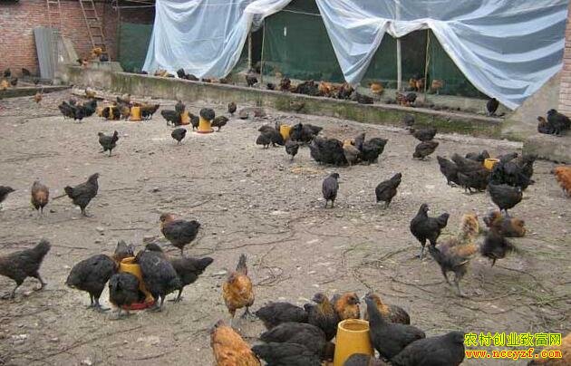 ��500ֻ������ҪͶ�ʶ���Ǯ��