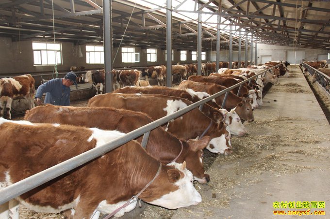 ���ྲ��ũ����ţ�����¸�·