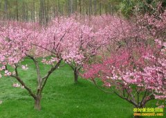 [ũ�����]�Ͼ�����ˮ�����ұߴ��ɽ�÷��������