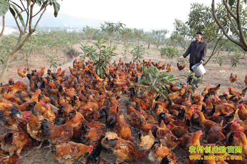 ��������������,���������¸��ĺ���·