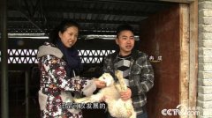 [�¸���]����������ʦȽ������ʵ�ֲƸ�����