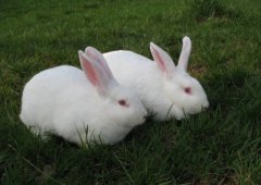 [ũ�����]������������ϵ��ֳ������Ƶ