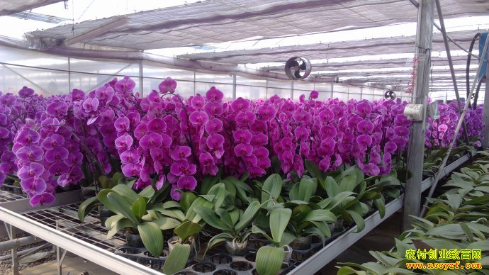 �����������ֲ�����������¸�·