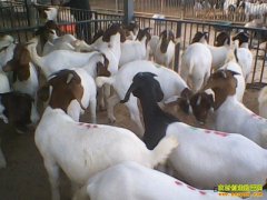 �����������ⲻ�� ��������׬Ǯ��