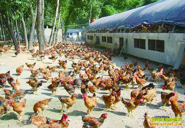 �Ĵ���������������ֳ������ֳ�����¸�·