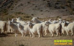 �������޶���Ǯһ�2016�����޼۸�����