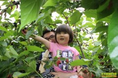 [ÿ��ũ��]Сɣ�ض�׬Ǯ������