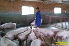 �����뽭�˹���Ӫ��ѧι���Ĺ�������׬Ǯ