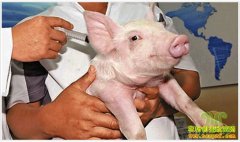 �������������ô�죿