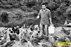 �ջ��� �𻨼� ��̬�����г��ܻ�ӭ