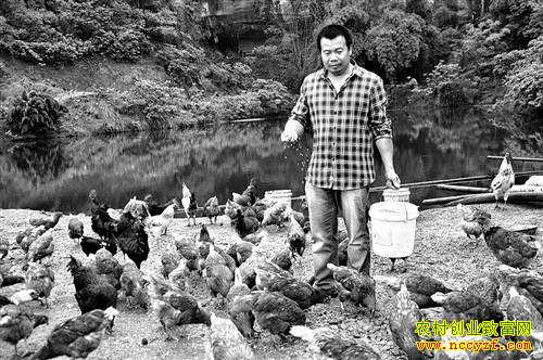 �ռҳ�����ι����