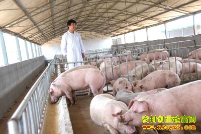 �ӱ��ˮ��ѧ���������������ҵ �������ÿ��¸���