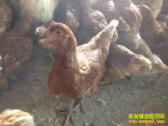 ������ѧ����·զ����