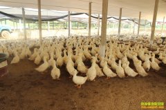 ���Ϸ�����Ѽ��ֳ��ũ���¸�����Ŀ