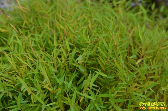 �㽭�����ؽ�˿�ݱ������¸��ݡ�