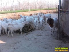 ɽ����̨�ƾ�ΰ����ǧ��ũ�����������¸�