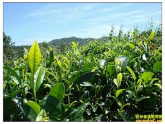 [�۽���ũ]ɽ��ũ�����¸� �����г�����·