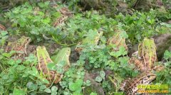 ��������־��ת�������ܳɡ����ܴ�����