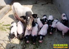 ����ͩ����������������߳��¸�·