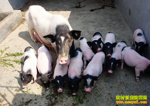 ����ͩ����������������߳��¸�·