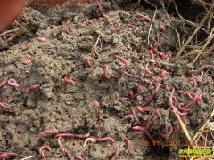 ����ϴ���С�����紴ҵ��ֳ���ɾʹ��ҵ