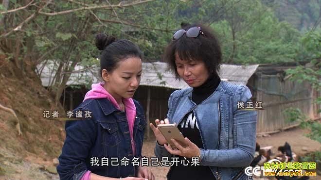 [�¸���]������ƽ������������������׬Ǯ���Ĺ�