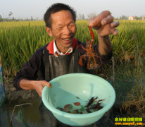 [ũ�����]��������С��Ϻ������Ƶ