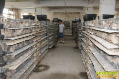 ������׬Ǯ������ǭ����ͥ־����������Բ�¸���