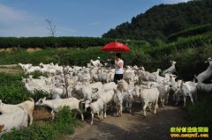 �Ĵ�������������̬����һ�꾻׬50��Ԫ