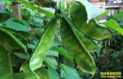 ������߲��ⶹ��ͨ��1��