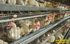 ������׬Ǯ�𣺵�ǰ������ֳҵ��ʹ�����Ķ�