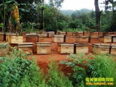 ���챱��ũ�����۷��ũ���¸�����Ŀ