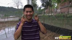 [�¸���]�Ĵ��ɶ����������ɽе�������ֳ�Ƹ�