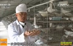 [�Ƽ�Է]������ս�ӣ�������ˮ�����ĸ�����ֳ�ؼ�