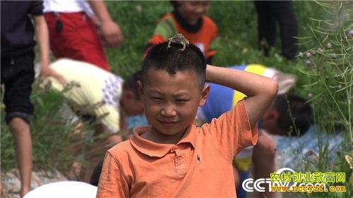 �¸��������ɽеĲƸ�