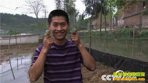 �¸��������ɽеĲƸ�