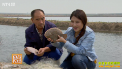 [ÿ��ũ��]�ӵ����ܷ���ͷ�Ķ౦���ܻ�ӭ