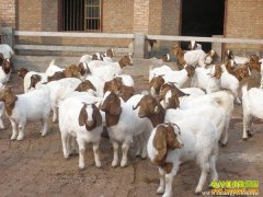 �����뽭���Խ��������������׬20��