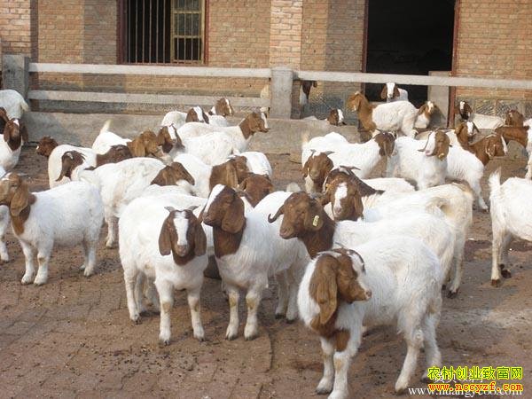 �����뽭���Խ��������������׬20��