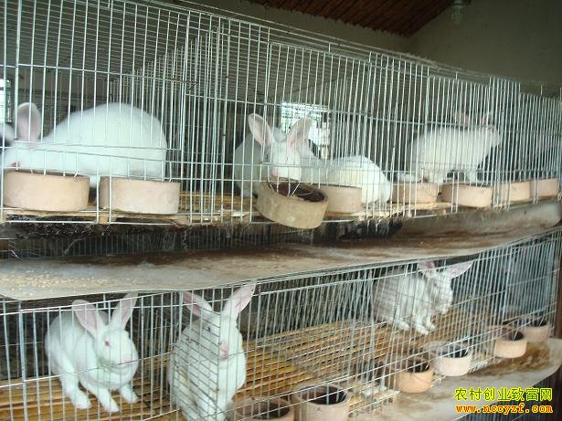 ����׬Ǯ��������ҵ�͹�ʱ,����Ծ�Ѱ��·