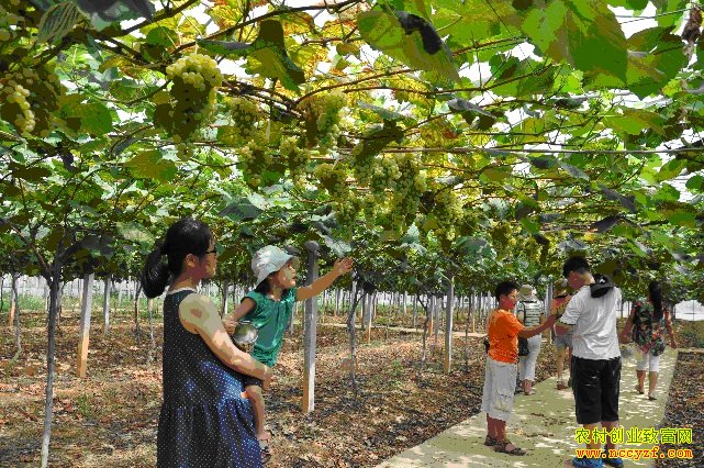 ��������ǰ��ҵ����������ѵι�